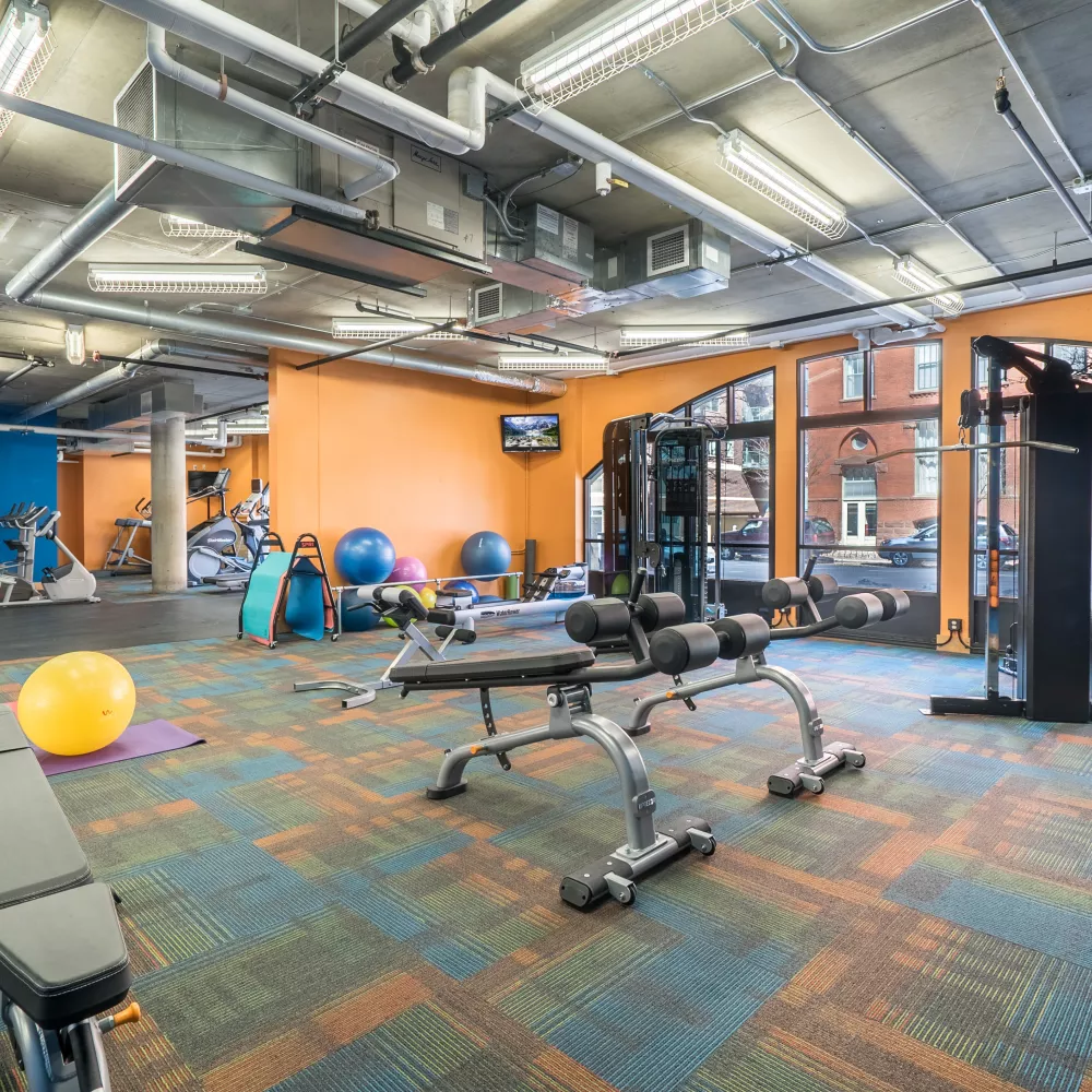 Bright, modern gym with cardio and weight machines, exercise balls, and yoga mats on a colorful patterned floor.